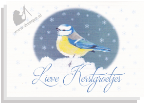 Kerstkaart pimpelmeesje sneeuw